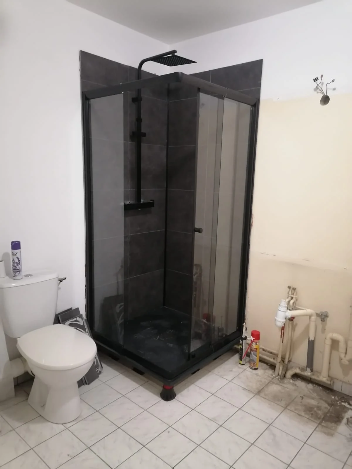 Rénovation salle de bain en cours — démontage sanitaires